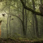 Messages des animaux