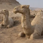 sculptures de dromadaires préhistoriques